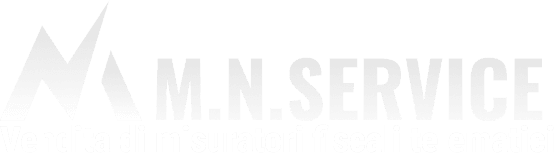 Logo del sito web per l'azienda M.N.Service